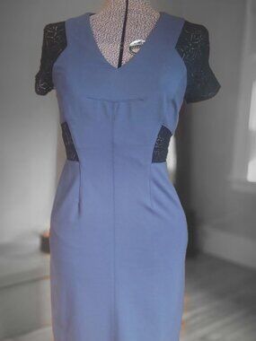 Rebecca Taylor Dress w/ Lace